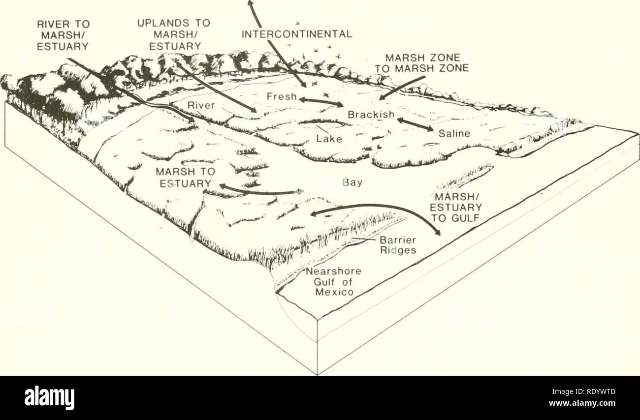 Securing Our Future | A Legacy of Support for Coastal Louisiana, image size:1300x854