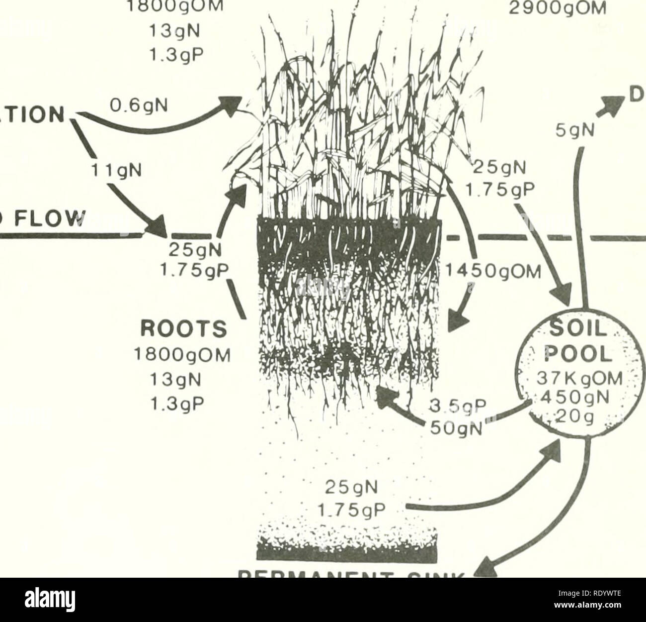 Louisiana unveils update to 50-year, $50 billion plan to restore its  eroding coastline | WWNO, image size:1300x1250