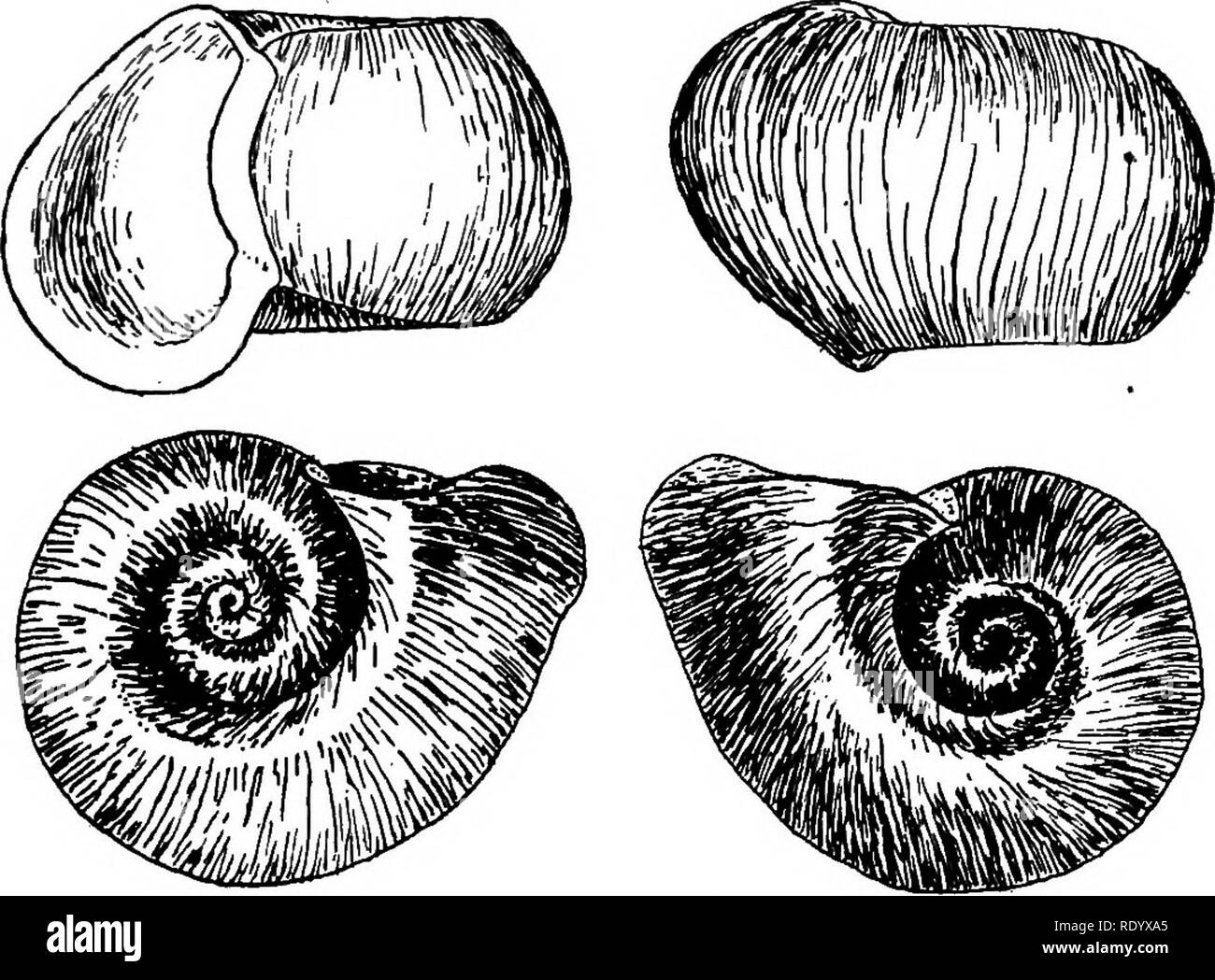 Wilmington aquarium hires stock photography and images Alamy