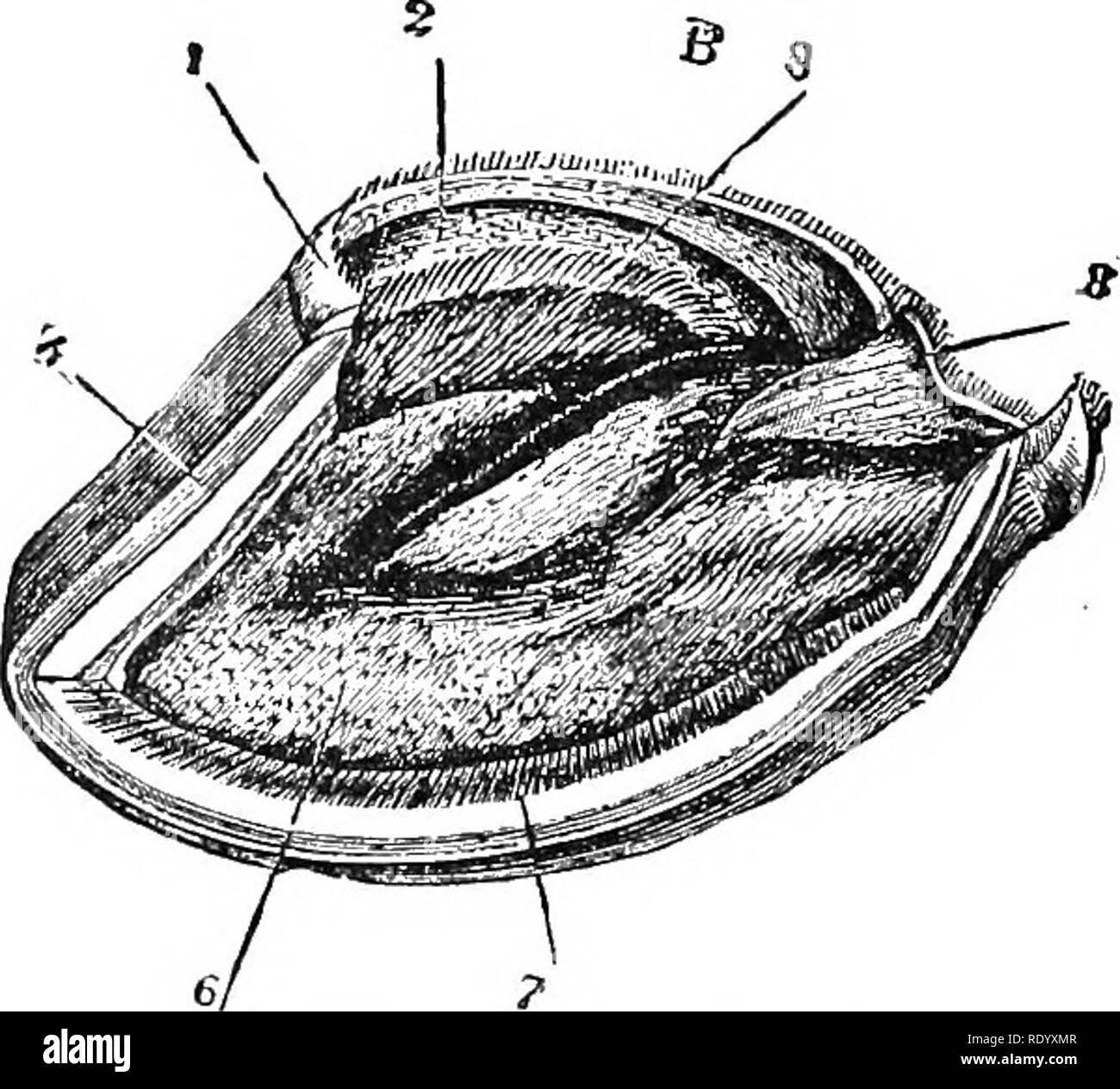 Cavity wall box Black and White Stock Photos & Images Alamy