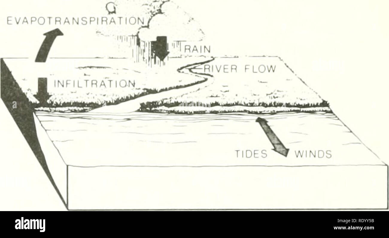 Louisiana fights the sea, and loses, image size:1300x796