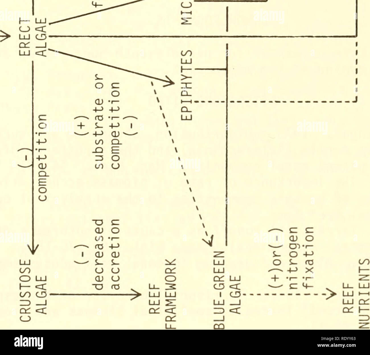 Page 6 Iai C High Resolution Stock Photography And Images Alamy