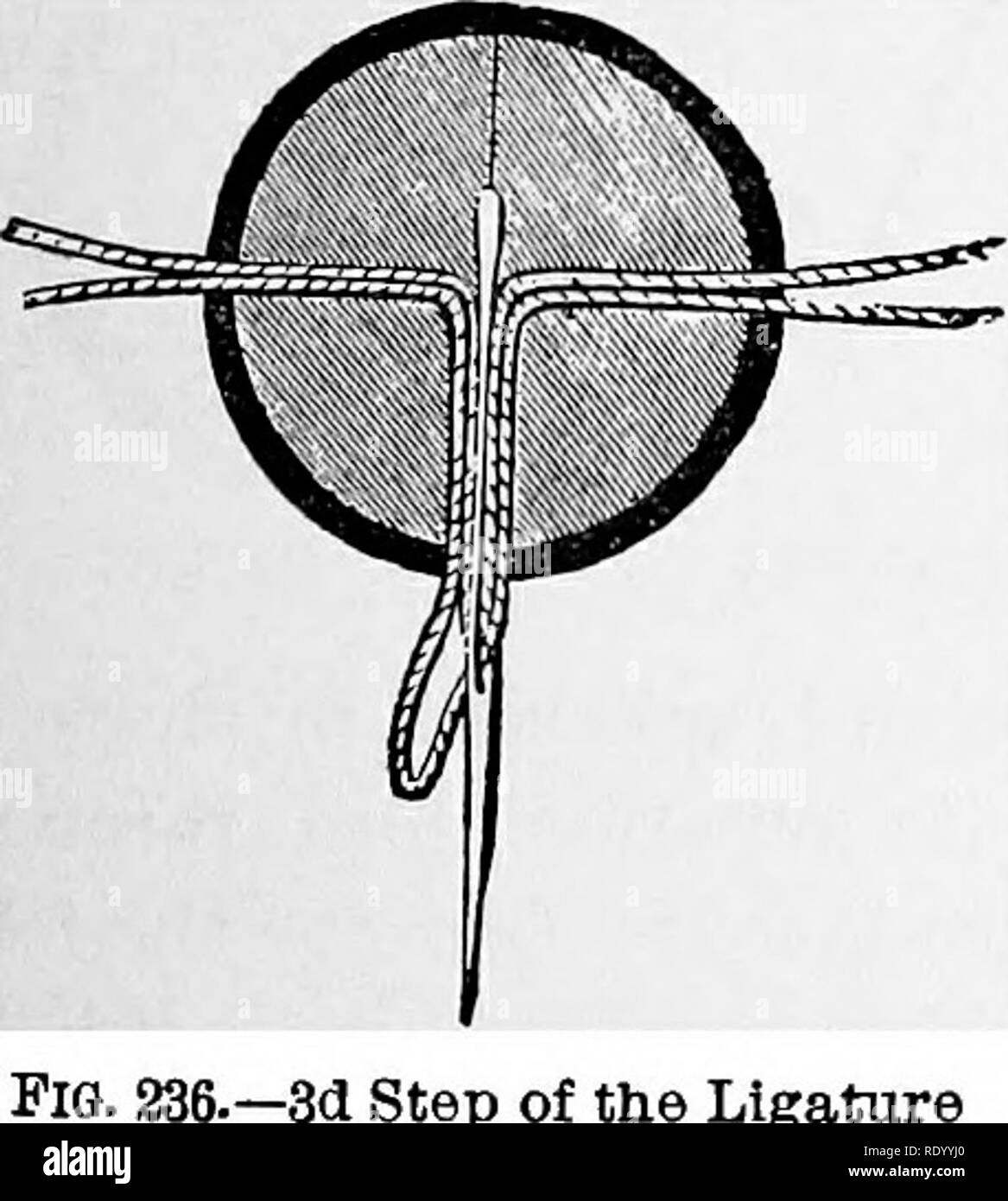 Four threads Black and White Stock Photos & Images Alamy