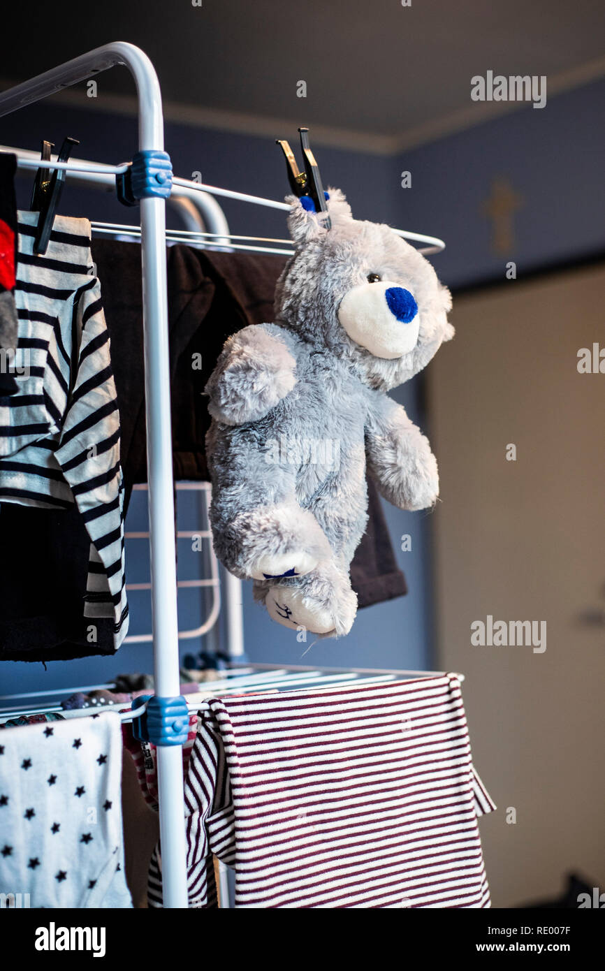 Teddy laundry on sale