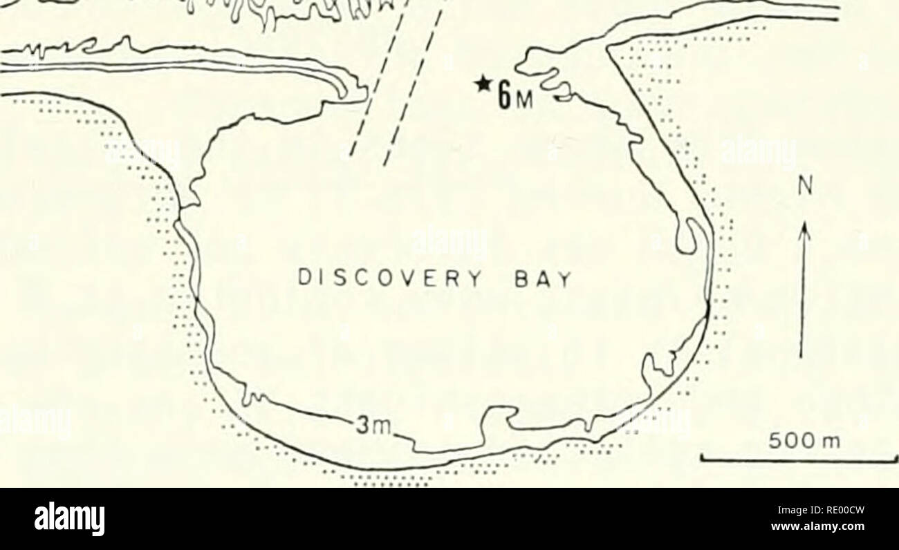 Discovery Bay Jamaica High Resolution Stock Photography And