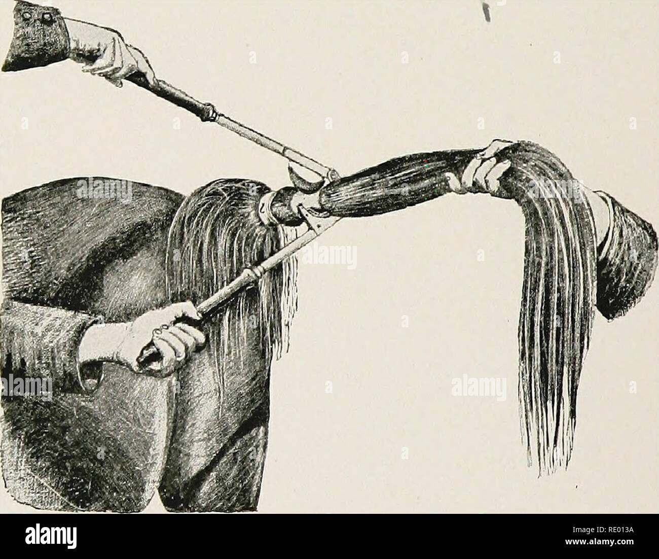 . Surgical and obstetrical operations, for veterinary students and