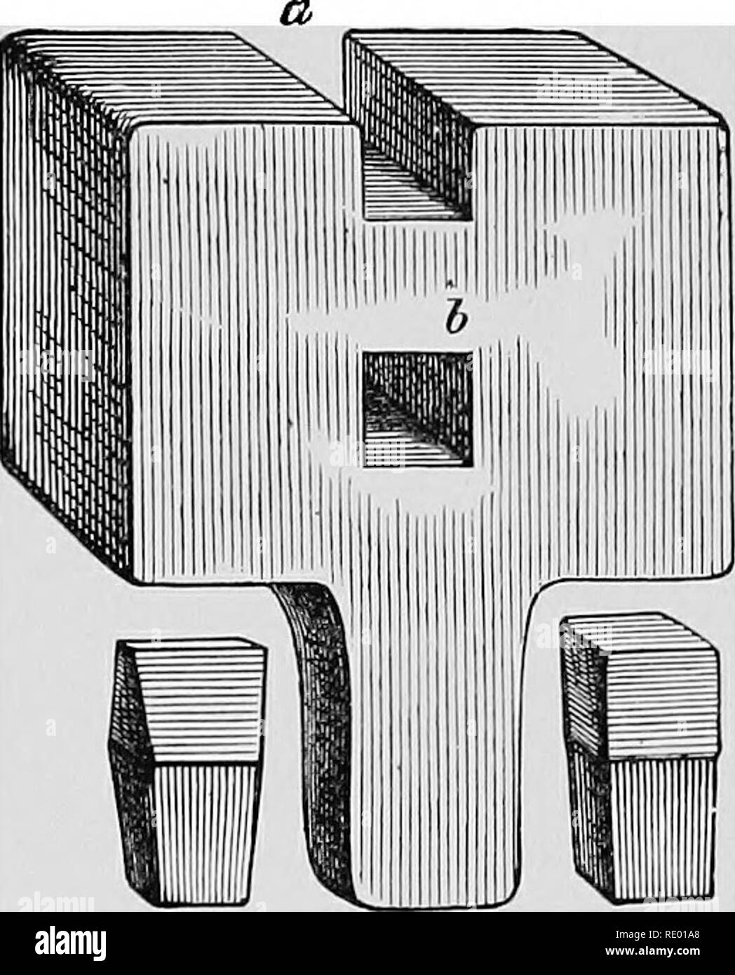 . A text-book of horseshoeing for horseshoers and veterinarians. Horseshoeing. Model- (normal) punch. Fig. 109. Fig. 108. Fig. 110. Sharp calk. Matrix ; a, Blunt calk. 6, moulds for shaping the calks. the reamer a second time. The calks are made of rolled round steel, which is a little thicker than the tap of the calk. For this purpose we require a calk-mould or matrix, in which one or more holes have been finished with the reamer. The steel rod, at a dark-red heat, is then drawn out between a swage-hammer and a swage-block until it will pass into the matrix to within one-twelfth of an inch of Stock Photo