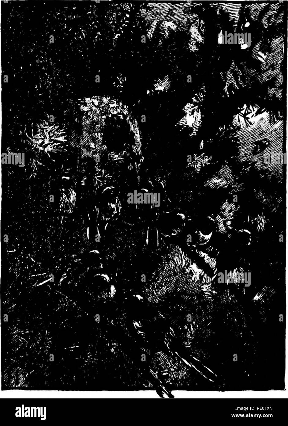 Swaying side to side Black and White Stock Photos & Images Alamy