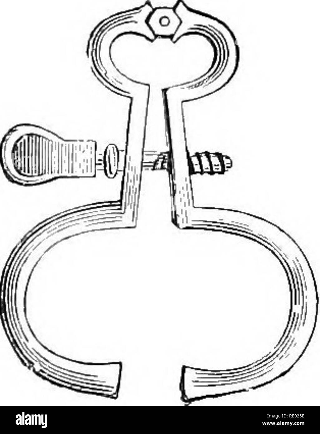 . Diseases of cattle, sheep, goats and swine. Veterinary medicine. 724