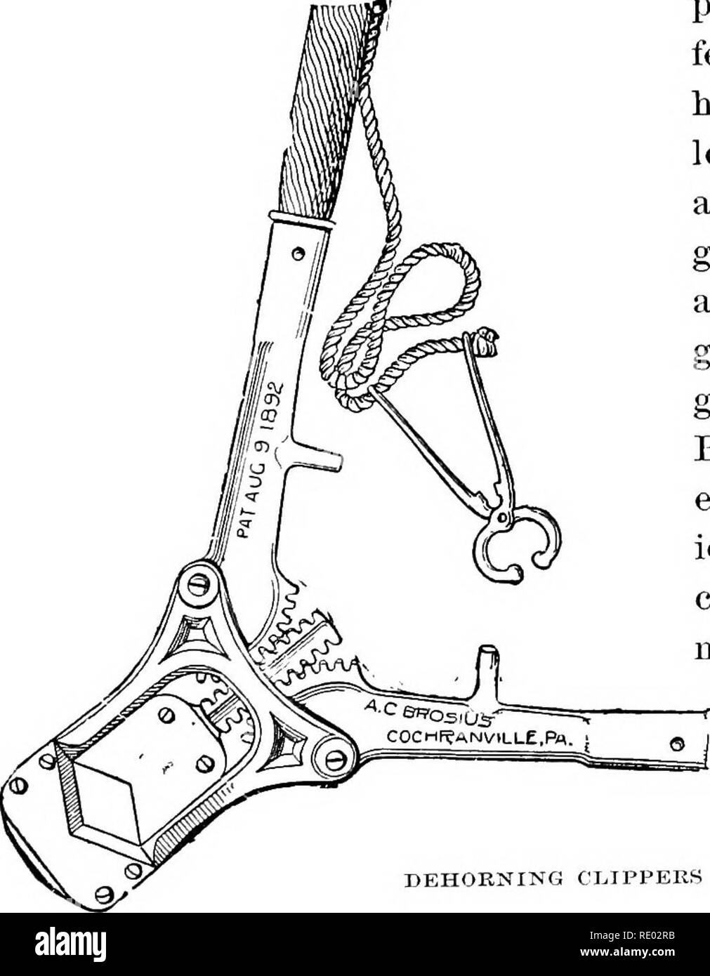 AUGUST 22 1874.1 Agricultural Life in Missouri. New French River Steamboat.  a American Telegraphy. Spiritual Phenomena. An Interesting Discovery. HOW  SHALL I INTRODUCE MY INVENTION1 MUNN & CO. 37 Park Row N. Y.