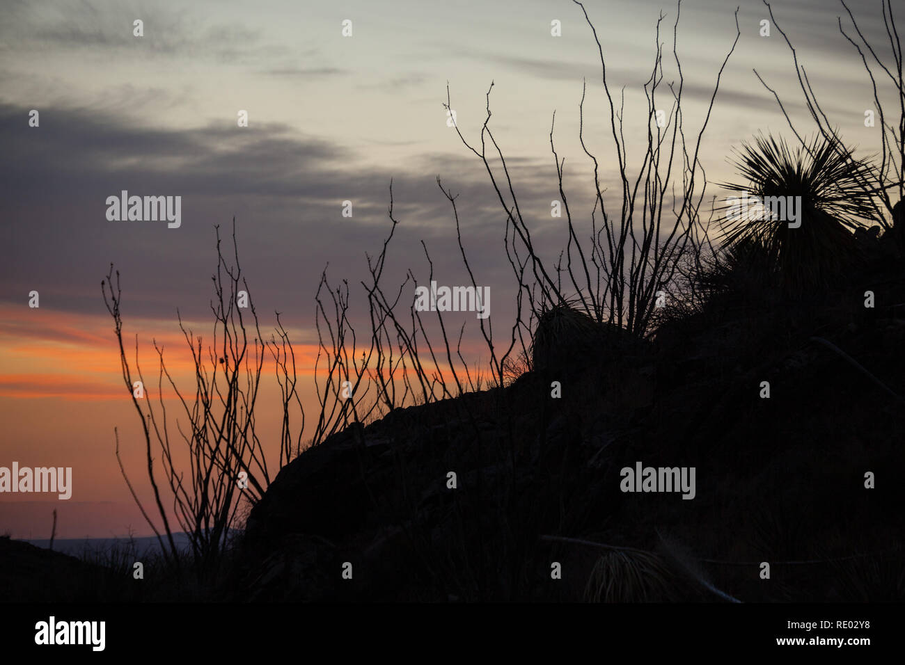 Organ Mountains, Dona Ana County, New Mexico, USA Stock Photo Alamy