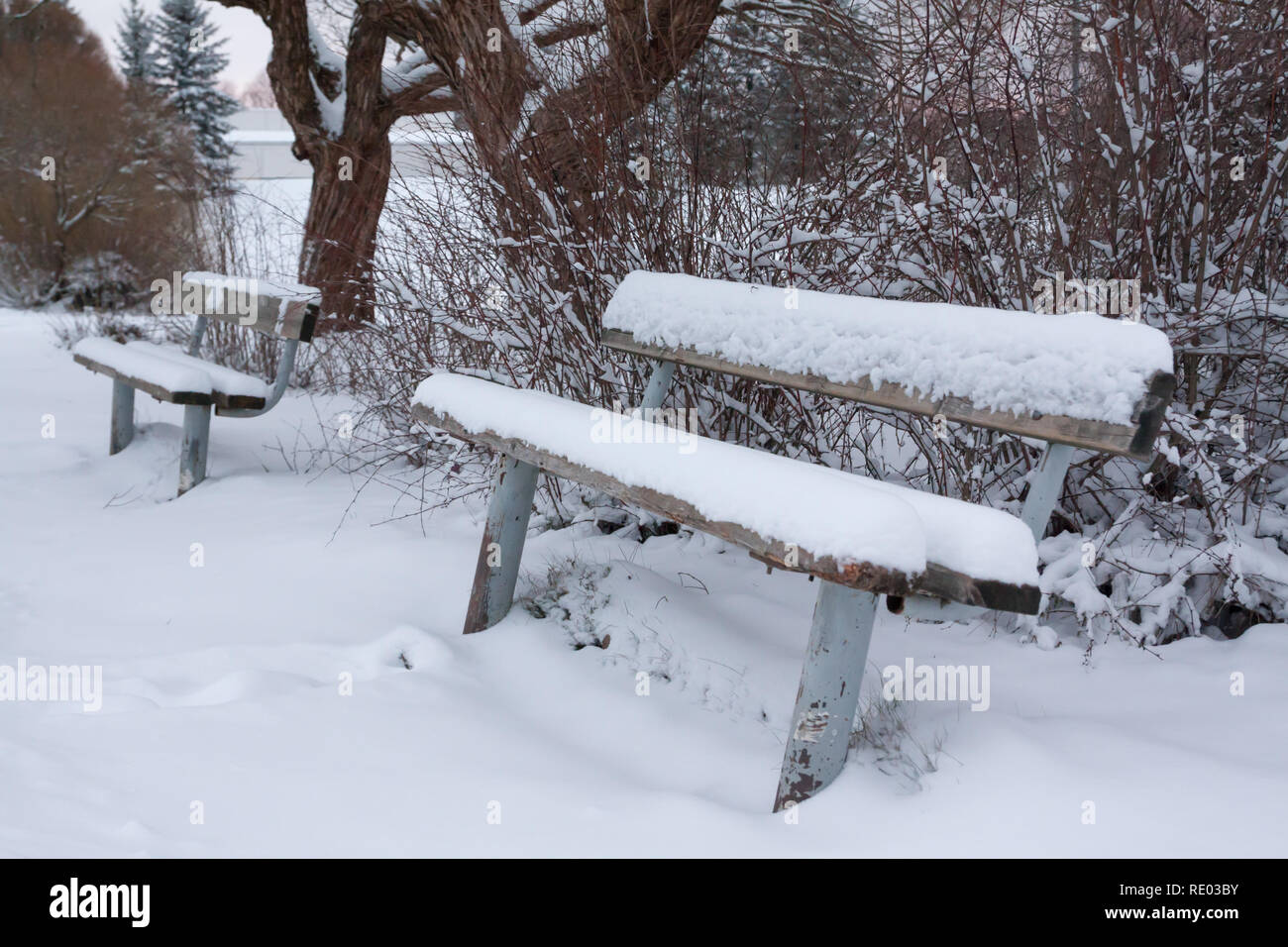 Bench in the park covered with snow Stock Photo - Alamy