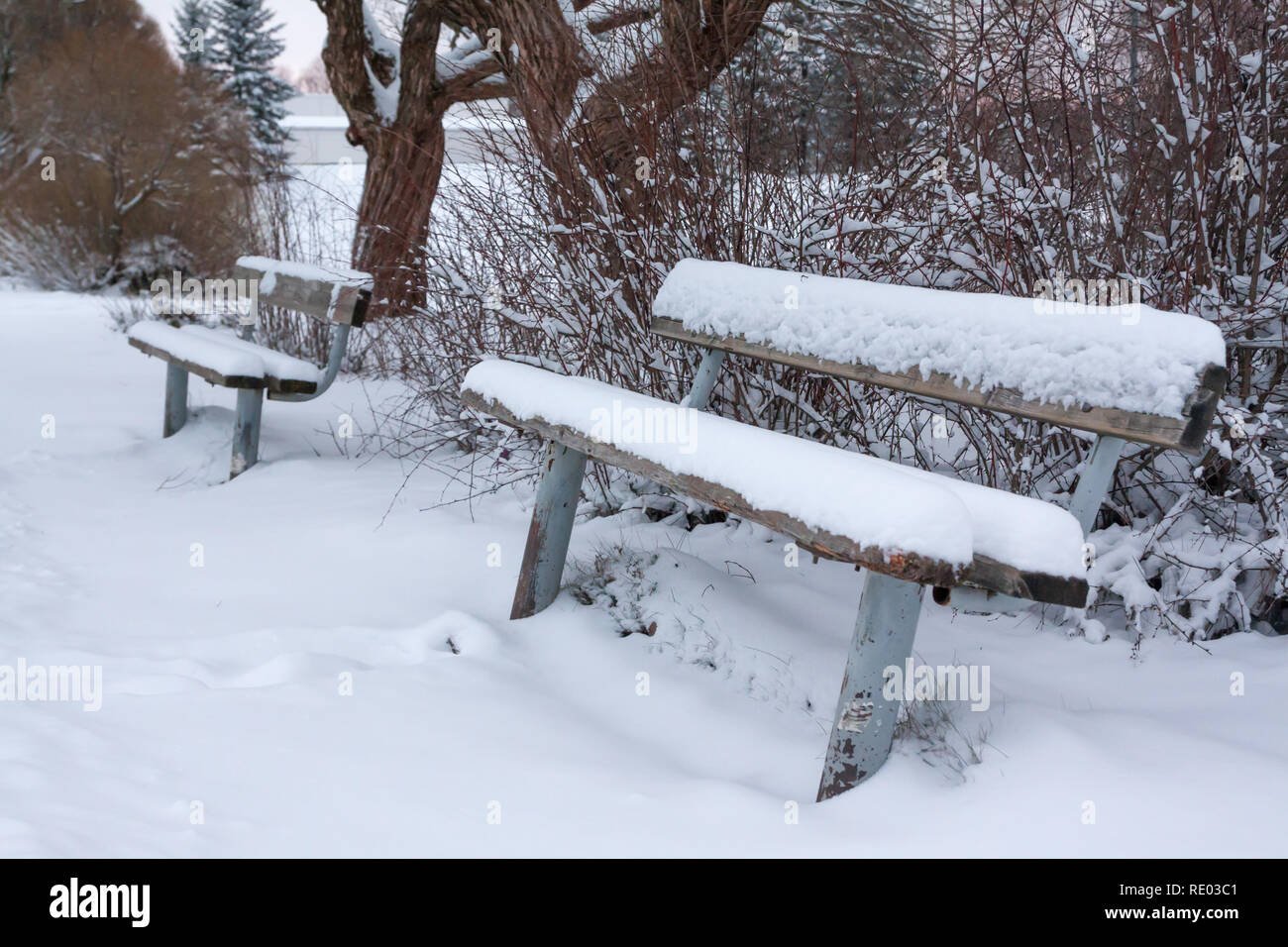 Bench in the park covered with snow Stock Photo - Alamy