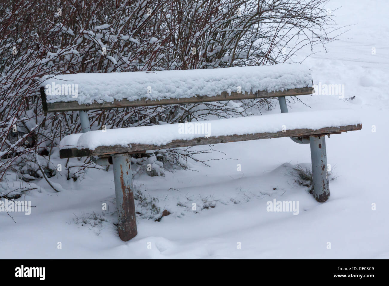 Bench in the park covered with snow Stock Photo - Alamy