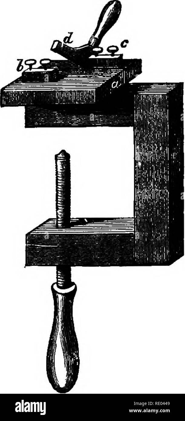 A Text Book Of Comparative Physiology For Students And Practitioners Of Comparative Veterinary Medicine Physiology Comparative Fig 169 Fig 168 Fig 168 Pflliger 8 Myograph The Muscle May Be Fixed To The Vise C