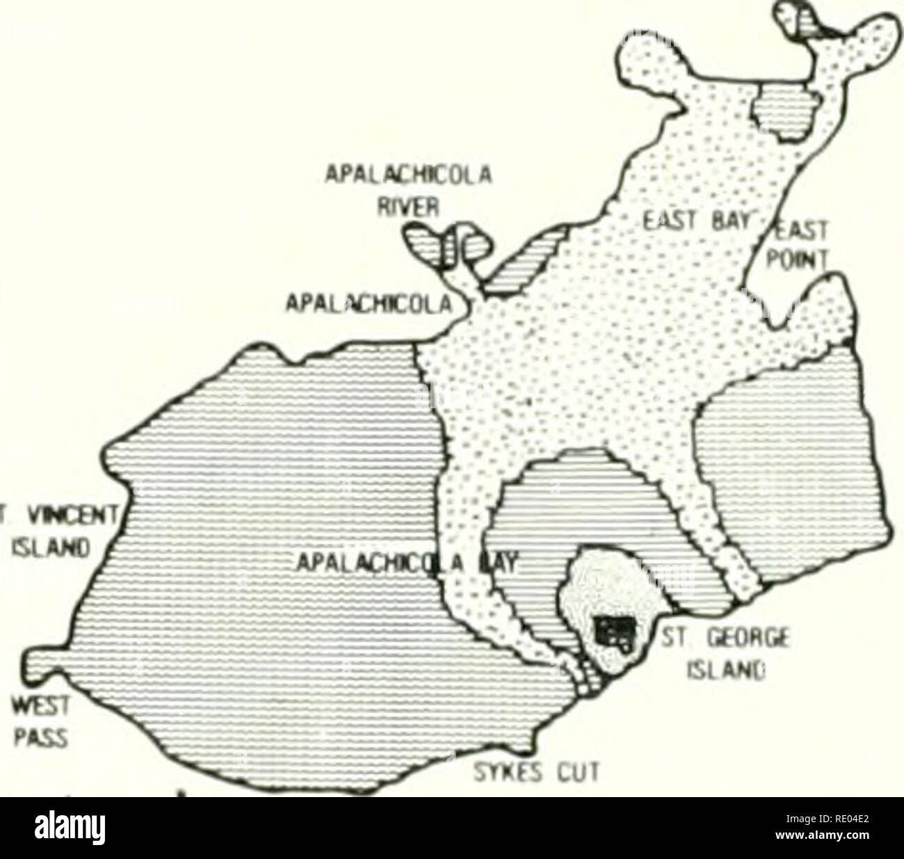 . The ecology of the Apalachicola Bay system : an estuarine profile. Estuarine ecology -- Florida Apalachicola Bay; Estuarine area conservation -- Florida. (KtobtT (UVtR / W! X'/uf lii *Â« / 1 ^ Februar&gt; -^-&gt;I!?U fc:.! aoftK *pÂ«iÂ«DÂ«:oiÂ« &gt;^ Â«..,Â«Â«oi&gt;^ ^3, -,T vÂ»Â«&gt;.r7V^ f7 IXM cnw/ x.,^J^ ^^^ WR'^^S^ y&quot; fÂ«Â£S &gt;. ^ - . ^-^'^r, April r^ 'W Â»p (LACHCOl* // &quot;x/* RIVEH J AOINT APWAtMKOlAy ^  Y^ rtS- r ^^ SI VWCJN^v   r  ^HCw^awV Â«sr^^^ A ^' March -^^ ^-wscu, Â»P*lÂ»CMtOLÂ« RlVtH [ EÂ»ST 8Ar/^5, 4PÂ»l Â»CmCI)L?&gt; J VJ^ 5T rtctm/- ' /V^ &quot; Q sl*Â«l Stock Photo