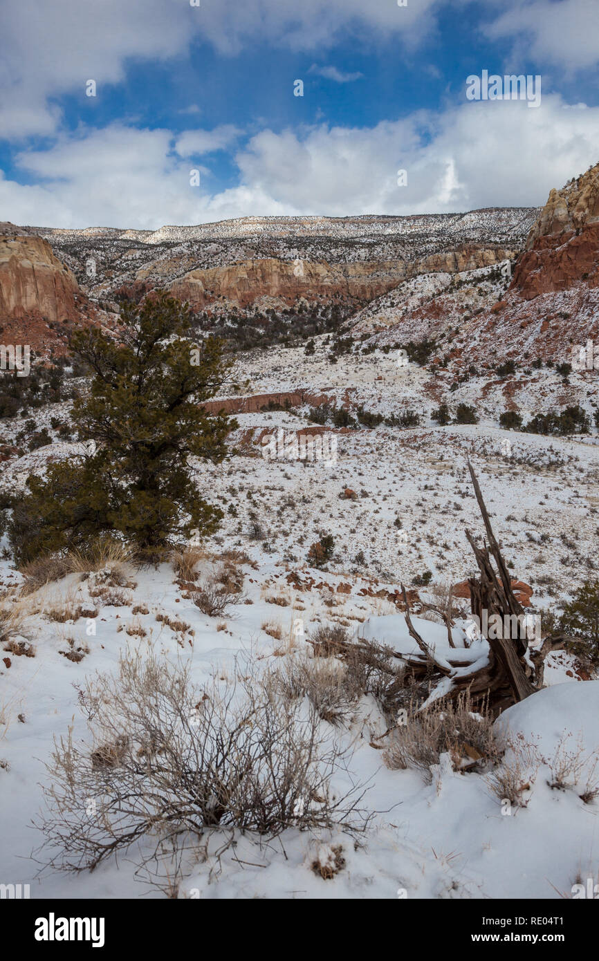 Ghost Ranch, Rio Arriba County, New Mexico, USA Stock Photo - Alamy