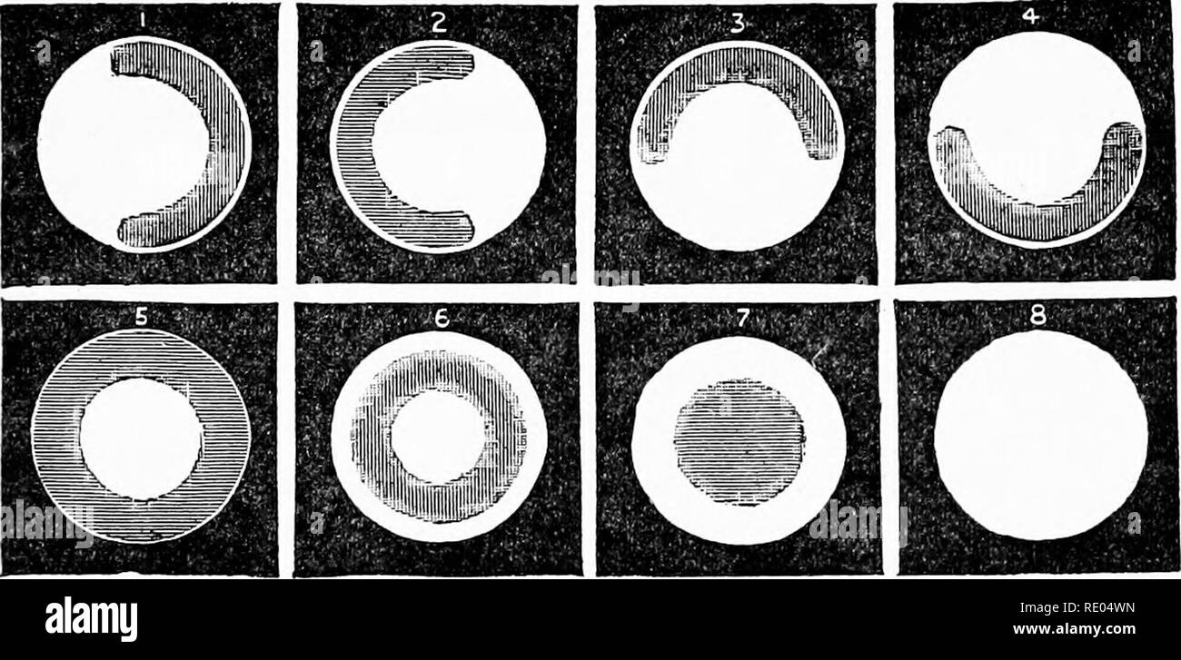Microscope condenser lens hi-res stock photography and images - Alamy