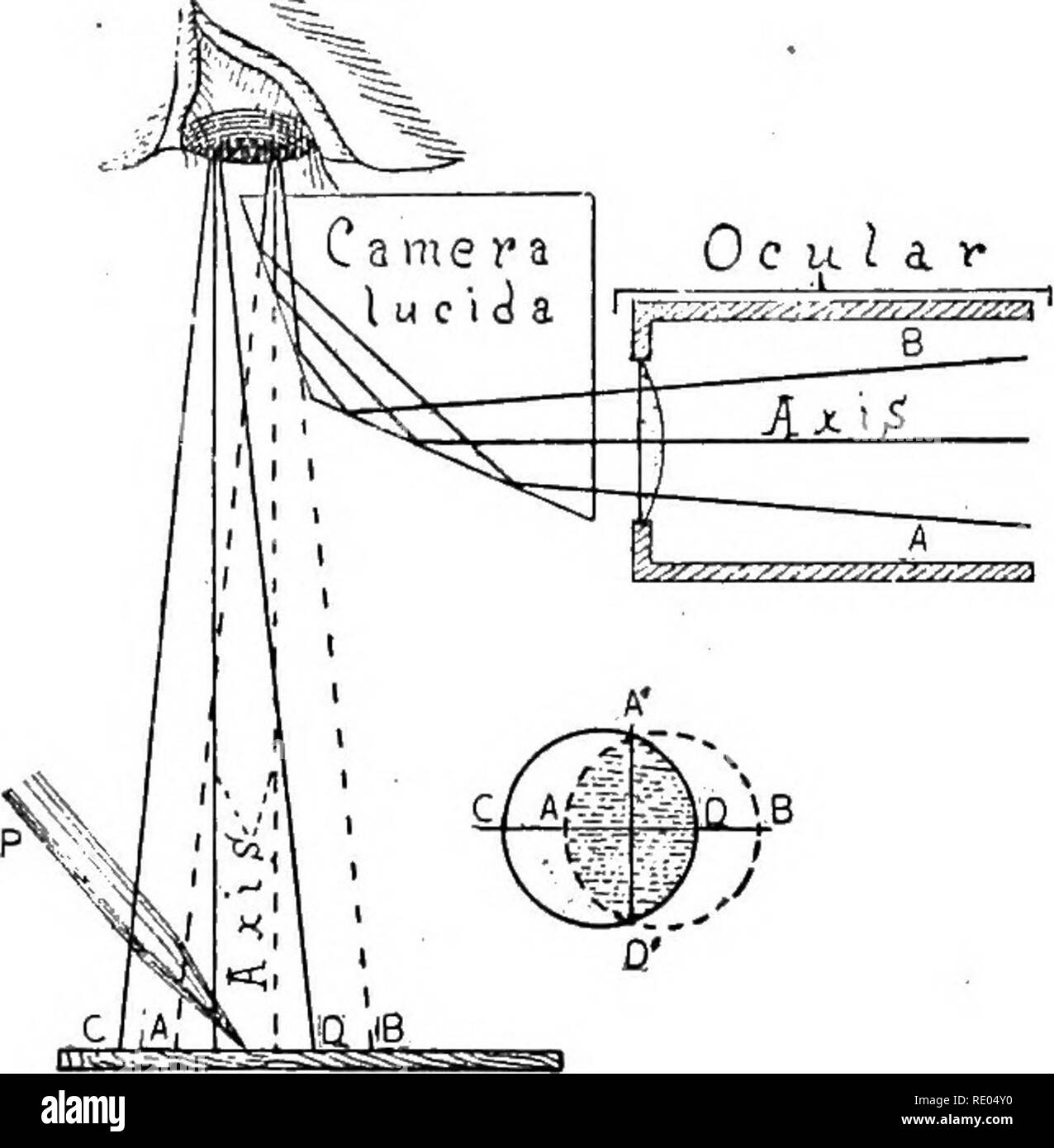 . The microscope : an introduction to microscopic methods and to histology. Microscopes. 144 DRA WING WITH THE MICROSCOPE [CH V tance of 250 mm. at which the drawing surface should be placed when deter- mining magnification { 178). § 202. *Abbe Camera Lucida.—This consists of a cube of glass cut into two triangular prisms and silvered on the cut surface of the upper one. A small oval hole is then cut out of the center of the silvered surface and the two prisms are cemented together in the form of the original cube with a perforated 45 degree mirror within it (Fig. 124, a b). The upper surface Stock Photo