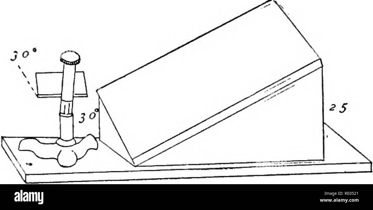 Microscope Wedge Histology drawing Black and White Stock Photos & Images - Alamy