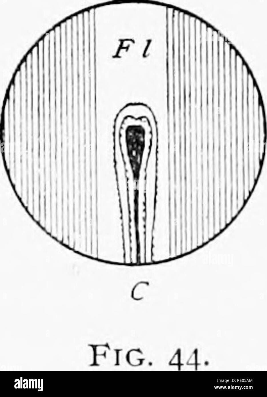 Numerical aperture hires stock photography and images Alamy