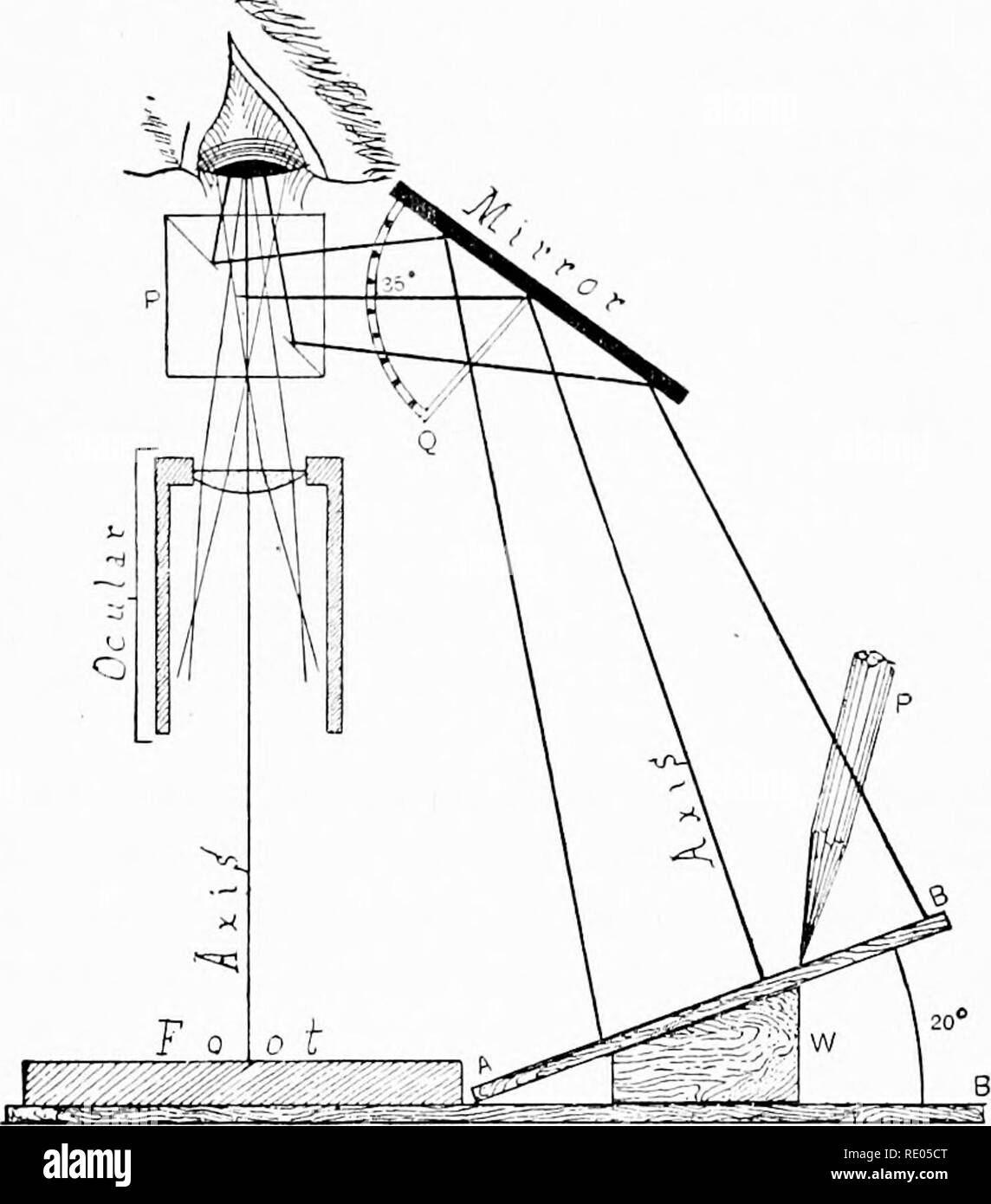 . The microscope; an introduction to microscopic methods and to histology. Microscopes. Fig. ioo. Figure showing the position of the microscope, the camera lucida, the eye, and the difference in size of the im- age depending upon the dis- tance at which it is projected from the eye. (a) The size at 25 cm.; (b) at35 cm., { 162). that the image could not be seen and measured at any other distance, but because some standard must be selected, and this is the most common one. The necessity for the adoption of some common standard will be seen at a glance in Fig. 100, where is represented graphical Stock Photo