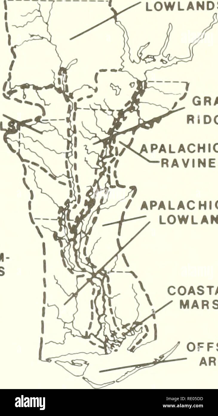 . The ecology of the Apalachicola Bay system : an estuarine profile. Estuarine ecology -- Florida Apalachicola Bay; Estuarine area conservation -- Florida. stream channels and estuarine meanders. The pH values ranqe from 4.^ to f^.6. Studies of the marshes above East Bay (Coultas 1^80; Coultas and Gross 197^^) indicate that the deltaic soils are slightly acidic and become alkaline with depth. The dense mats of roots and rhizomes from the predominant sawgrass (Cladium .iamai cense) and needlerush (Juncus roemerianus) along the eastern portions of the estuary tend to hold the soils in place. The Stock Photo