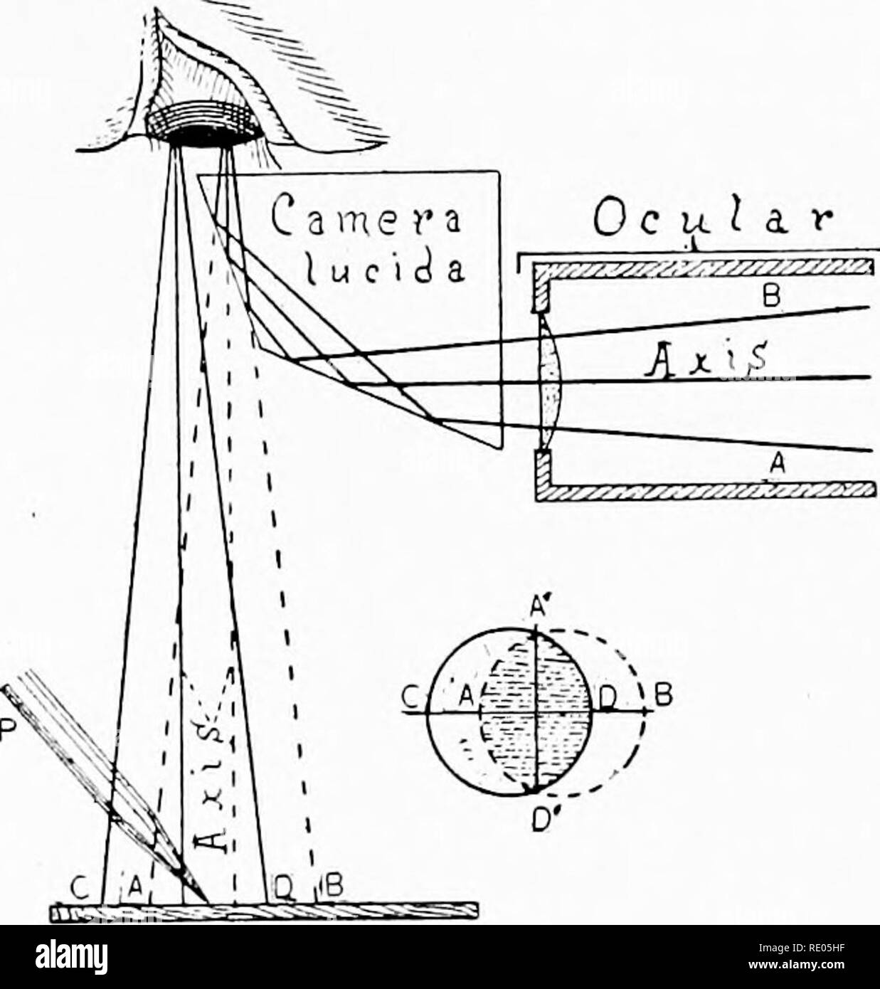 . The microscope; an introduction to microscopic methods and to histology. Microscopes. CH. IV] MAGNIFICATION AND MICROMETRY 107 Fig. 97. Wollaston's Camera Lu- cida, showing the rays from the micro- scope and from the drawing surface, also the position of the pupil of the eye. Axis, Axis. Axial rays from the microscope and from the drawing surface (Ch. V). Camera Lucida. A section of the quadrangular prism showing the course of the rays in the prism from the microscope to the eye. As the rays are twice reflected, they have the same relation on entering the eye that they would have by looking  Stock Photo