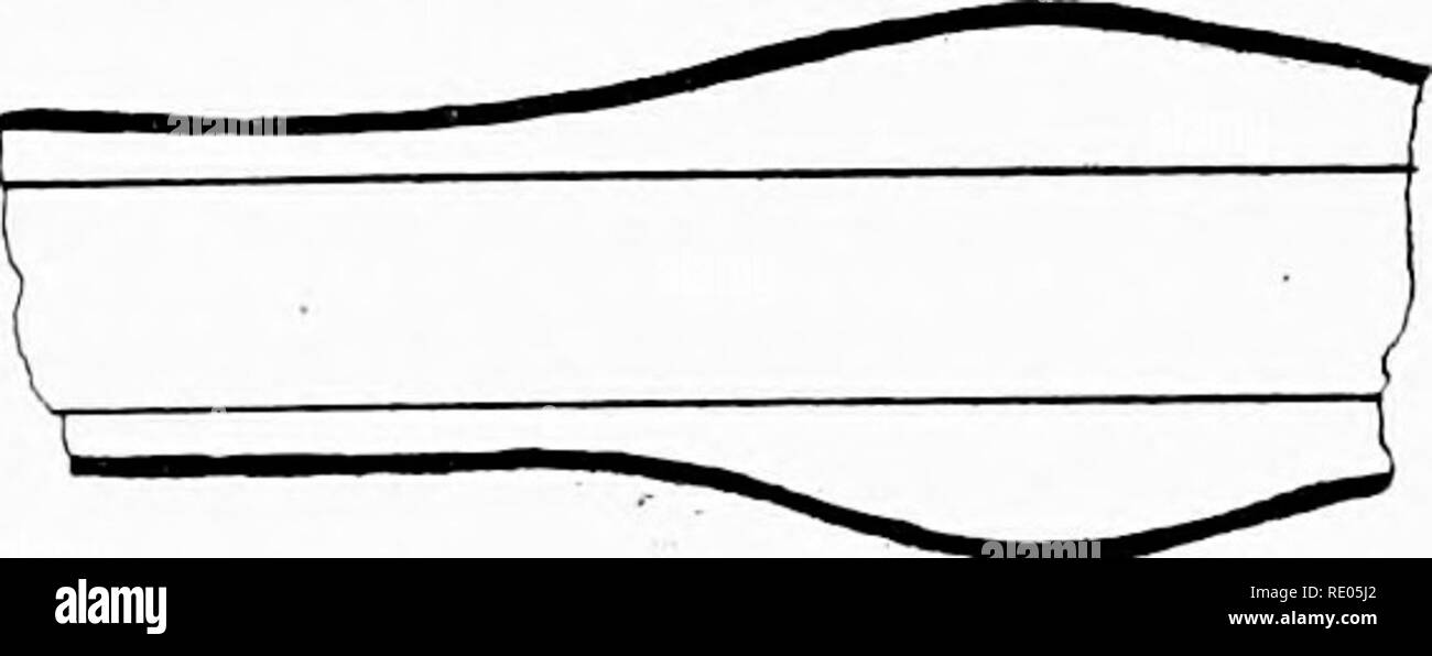 . The microscope; an introduction to microscopic methods and to