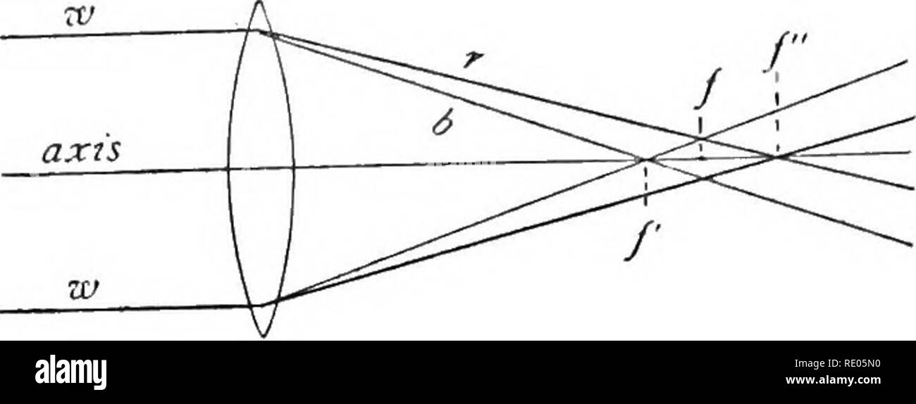 . The microscope; an introduction to microscopic methods and to histology. Microscopes; 1899. MICROSCOPE AND ACCESSORIES. CH. /â. â Fig. 12.âDouble Convex Lens, Showing Chromatic Aberration. The ray of white light (w) is represented as dividing into the short waved, blue (b) and the long waved, red (r) light. The blue (b) ray comes to a focus nearer the lens and the red ray (r) farther from the lens than the principal focus (/). Principal focus (/) for rays very near the axis, f and f&quot;, foci of blue and red light coming from near the edge of the lens. The intermediate wave lengths would  Stock Photo