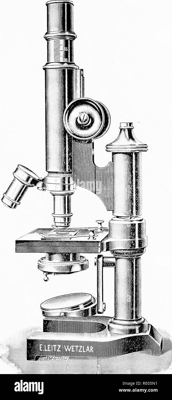 Leitz microscope hi-res stock photography and images - Alamy