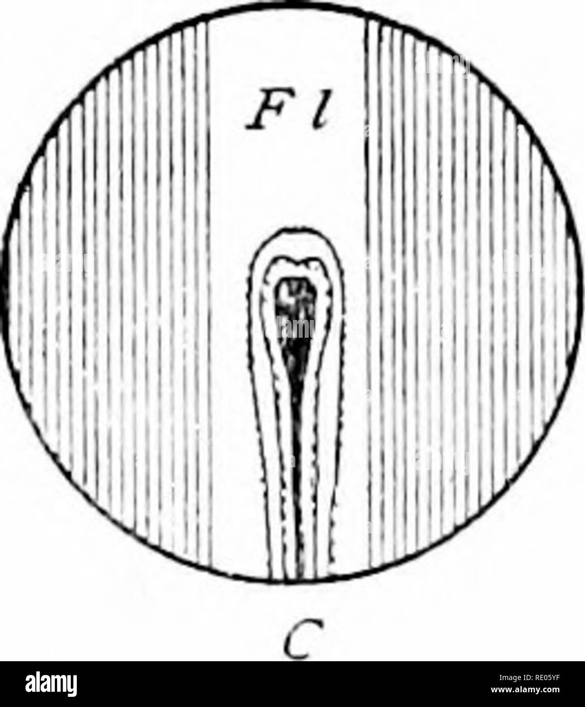 Numerical aperture hires stock photography and images Alamy