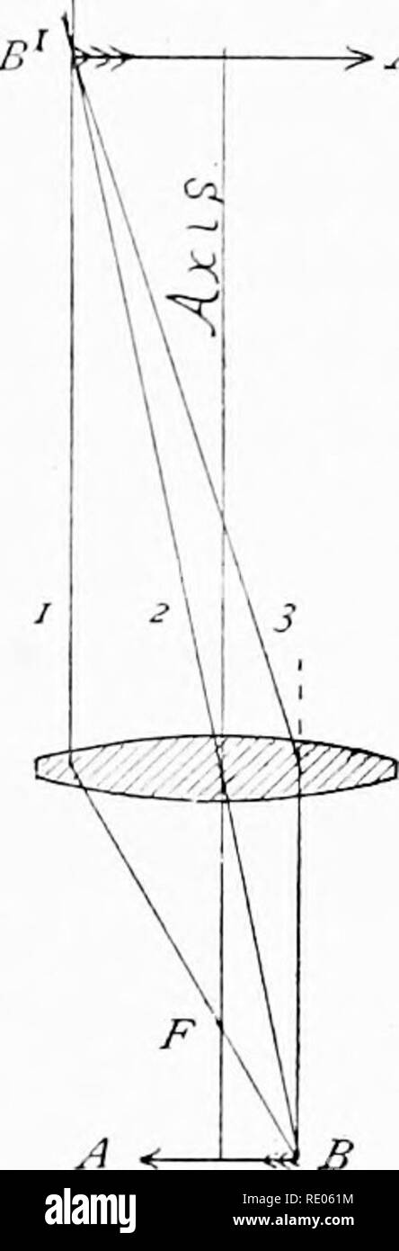 . The microscope; an introduction to microscopic methods and to histology. Microscopes. ch. r MICROSCOPE AND ACCESSORIES of parallel rays very near the axis is at/&quot;, rays {o i), nearer the edge, would come to a focus nearer the lens, the focus of the ray nearest the edge being nearest the lens. | 9. Correction of Chromatic and of Spherical Aberration.—Every simple lens has the defect of both chromatic and spherical aberration, and to overcome this, kinds of glass of different refractive power and different dispersive power are combined, concave lenses neutralizing the defects of convex le Stock Photo