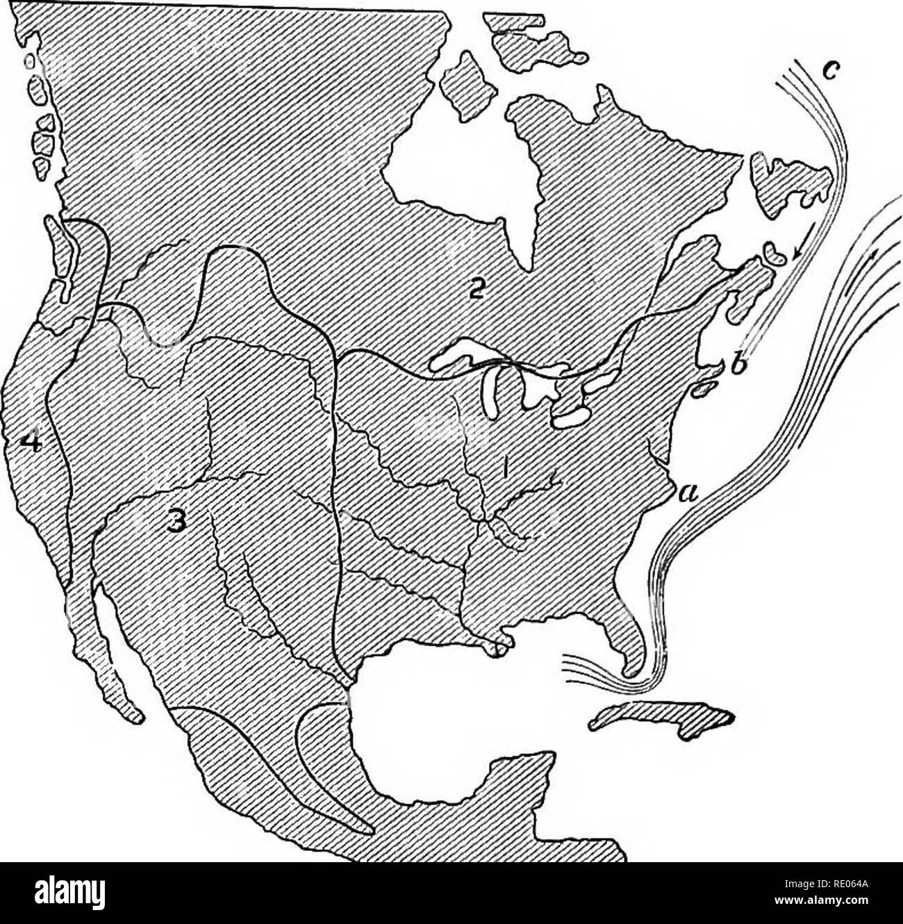 . Outlines of the comparative physiology and morphology of animals ...