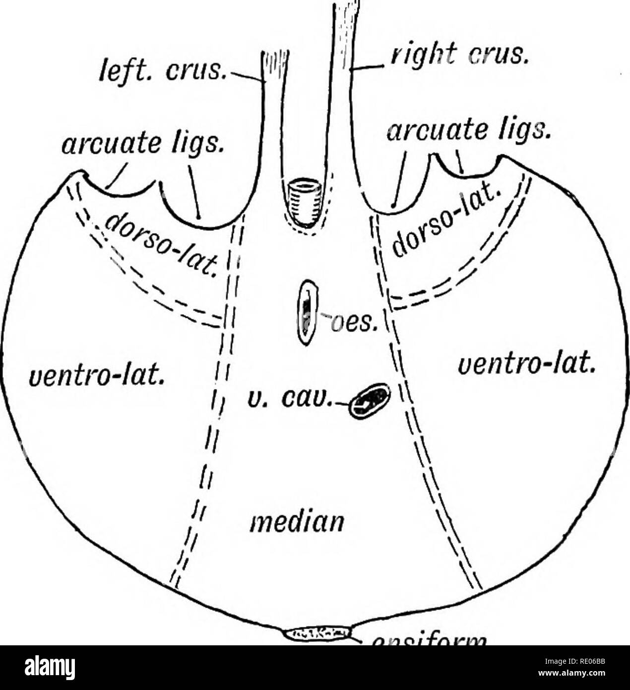 Part page 256 hires stock photography and images Alamy