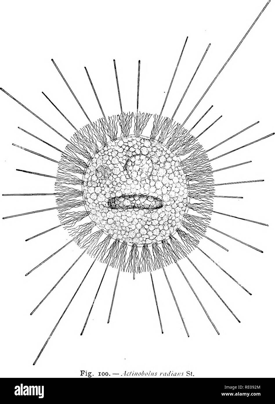 Ectoplasm Stock Photos & Ectoplasm Stock Images Alamy