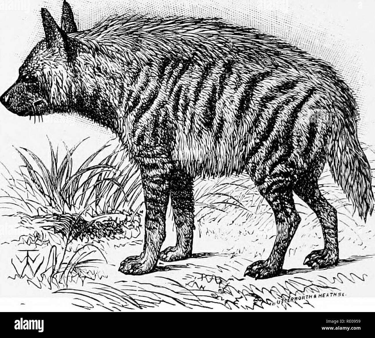 Rare Disease Black And White Stock Photos Images Alamy