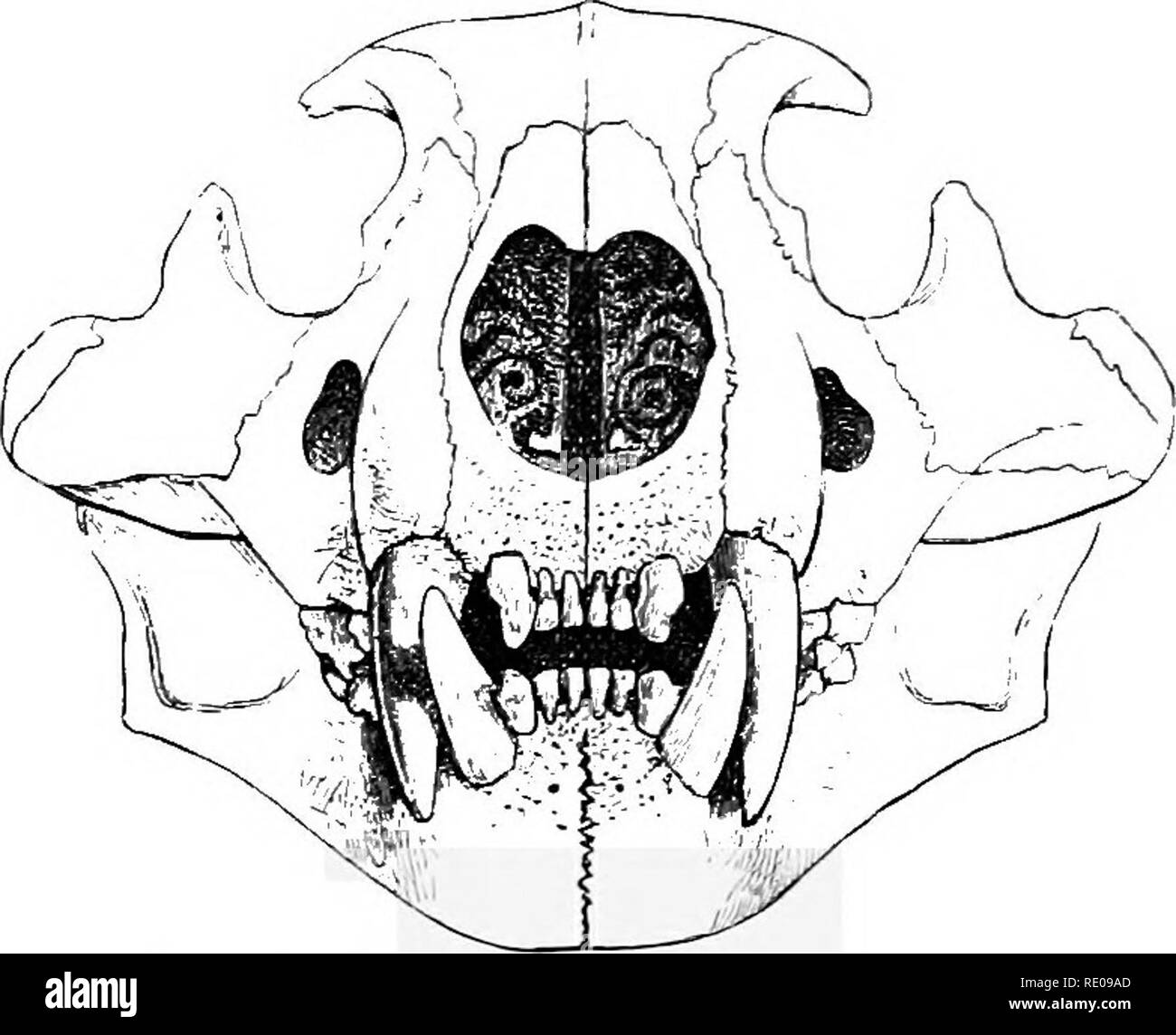 Line 502 Black and White Stock Photos & Images - Alamy