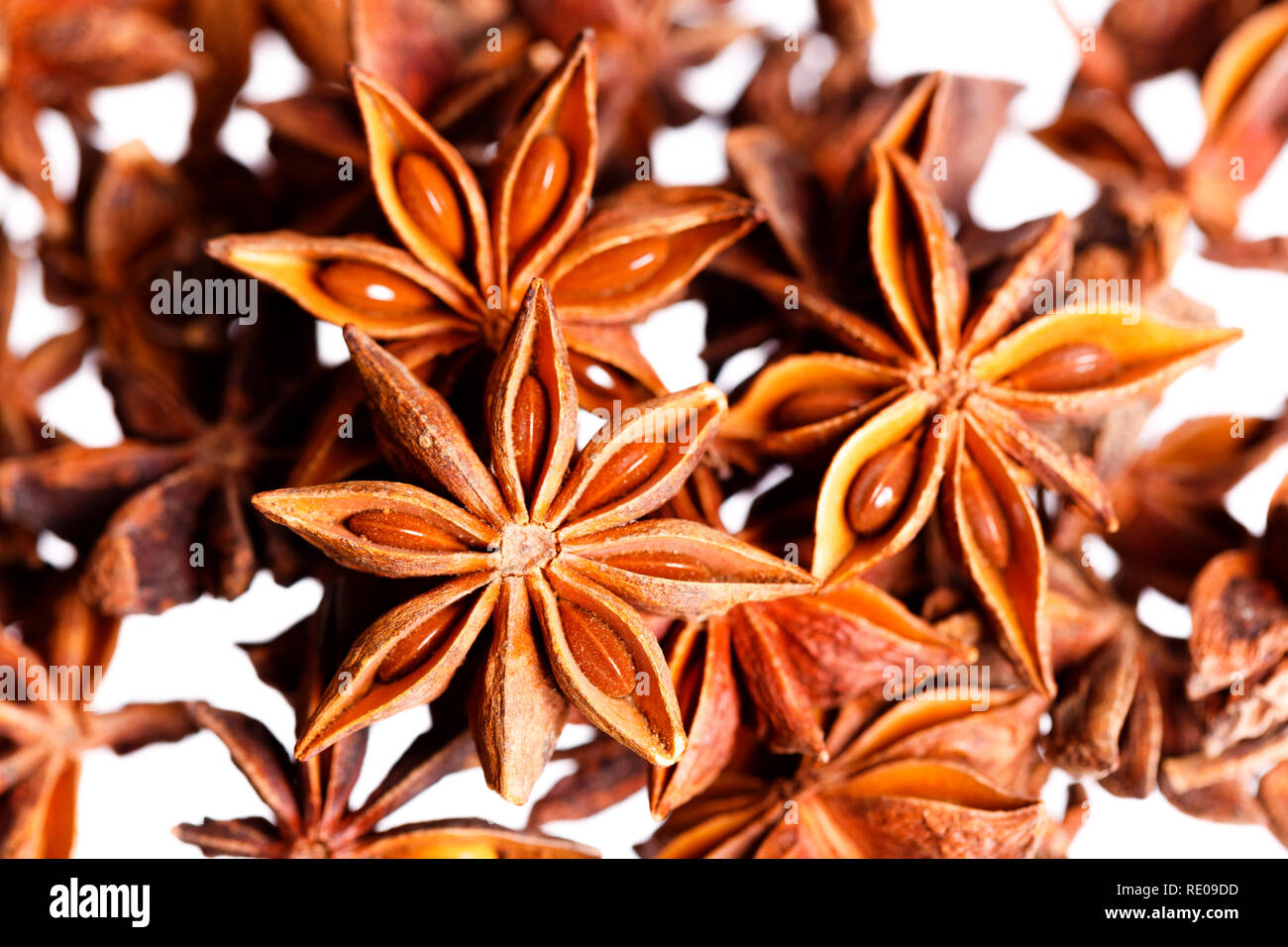 Star anise plant hires stock photography and images Alamy