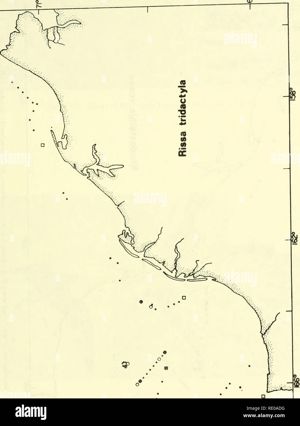 Oa E A High Resolution Stock Photography And Images Alamy