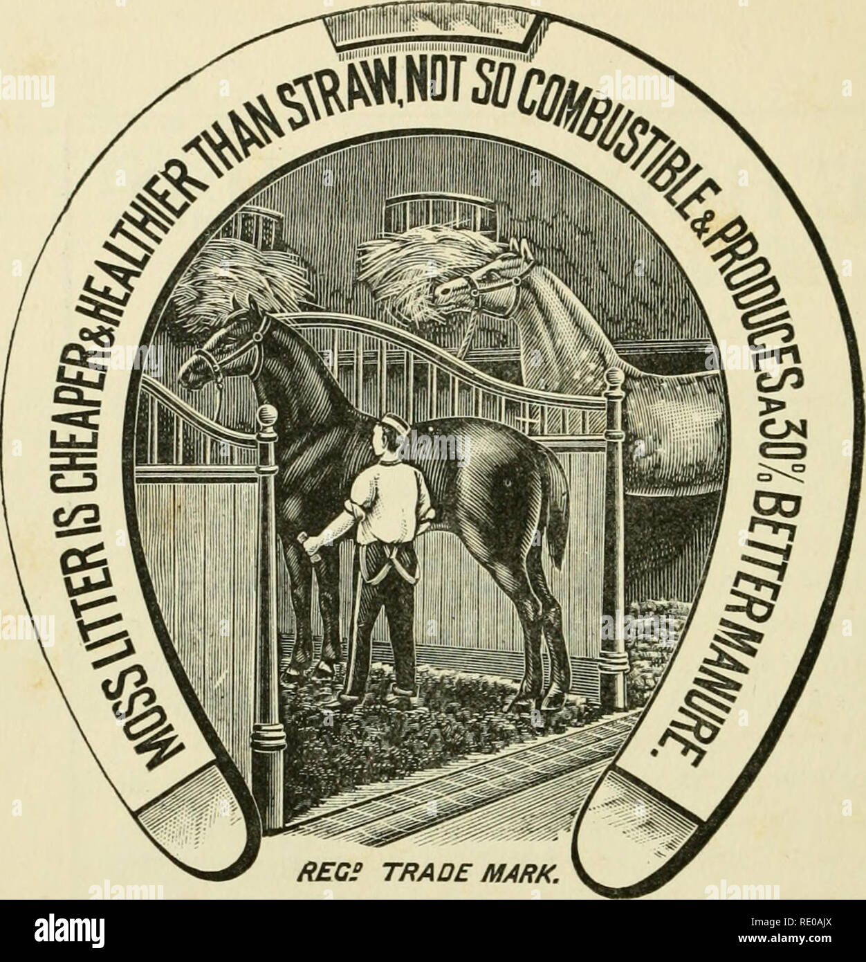 The encyclopædia of the stable: a complete manual of the horse, its breeds, anatomy, physiology, diseases, breeding, breaking, training and management, with articles on harness, farriery, carriages, etc. comprising a thousand The encyclopædia of the stable: a complete manual of the horse, its breeds, anatomy, physiology, diseases, breeding, breaking, training and management, with articles on harness, farriery, carriages, etc. comprising a thousand