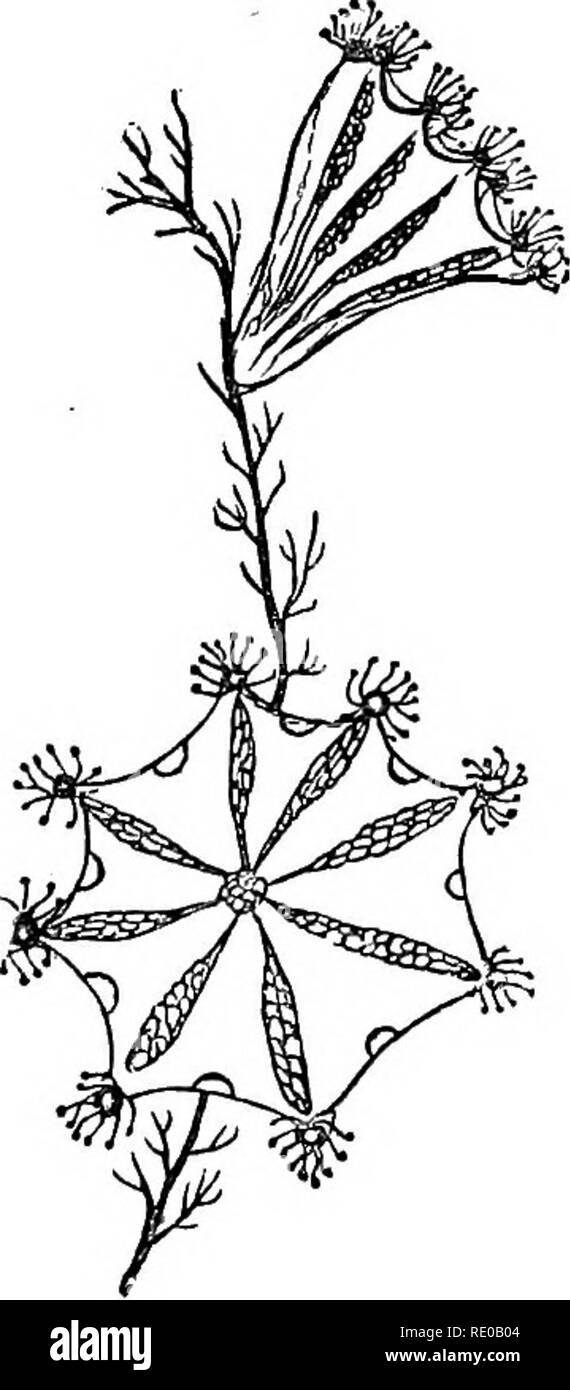 Vin number Cut Out Stock Images & Pictures Alamy