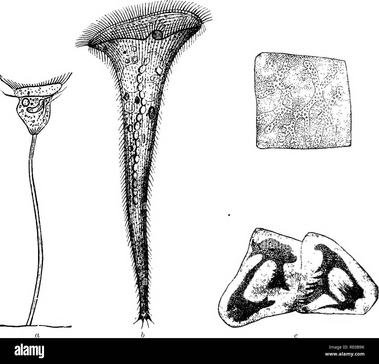 Unitray Science Unitary Structure High Resolution Stock Photography and Images - Alamy