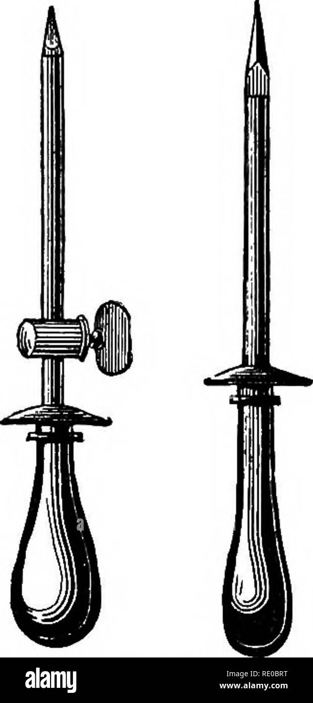 Can A Dog Absorb Her Puppies