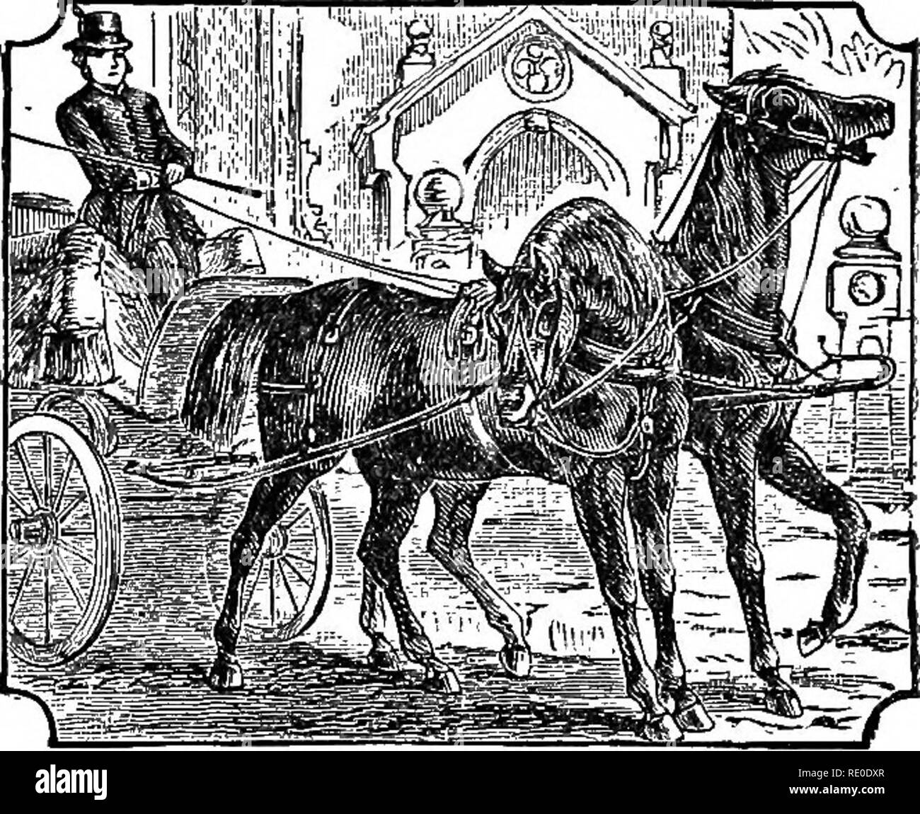 Taut Black and White Stock Photos & Images Alamy