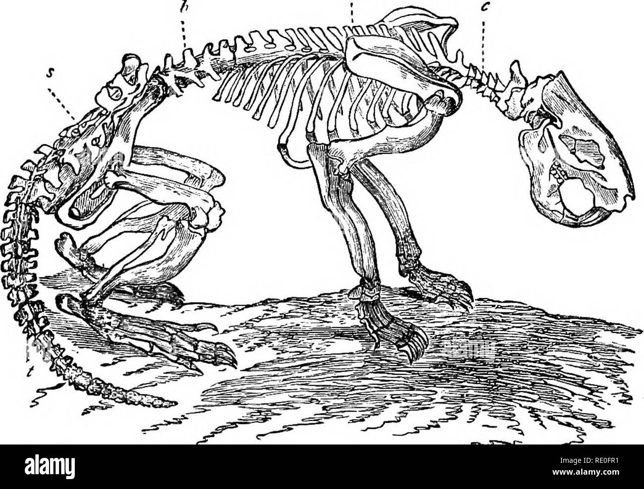. Text-book of zoology for schools and colleges. Zoology. GENERAL ...