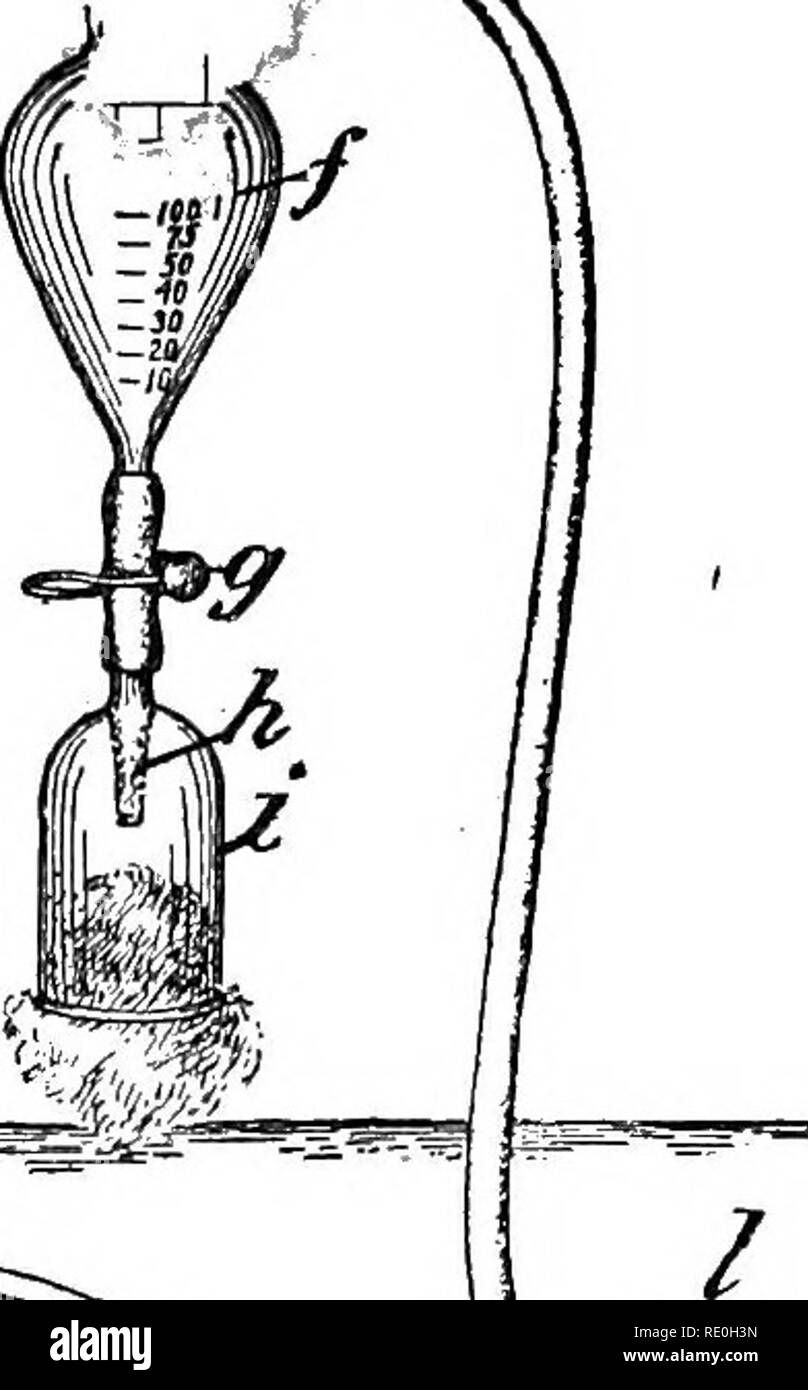 . Bacteriological methods in food and drugs laboratories : with an introduction to micro-analytical methods . Bacteriology; Food; Drugs. i-&gt;. m J Fig. 4.—Apparatus for fractional filtration, designed for use with Pasteur- Chamberland or Berkefeld filters, a, Glass mantle surrounding filter; h, Chamber- land filter; c, paraffin joint; i and e, rubber stoppers; /, double side-arm suction flask; g, pinchcock controlling outlet from suction flask; h, outlet tube surrounded by glass shield and attached to lower end of suction flask by means of short rubber tubing; i, glass shield fused to and su Stock Photo
