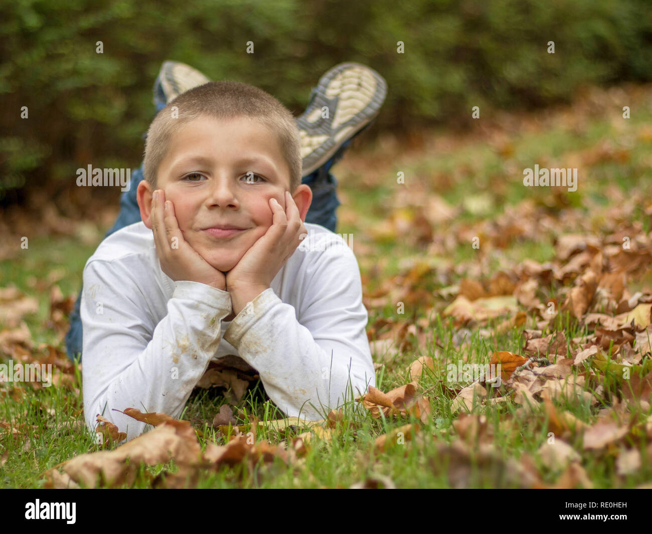 Portrait of a happy little boy in the park Stock Photo - Alamy