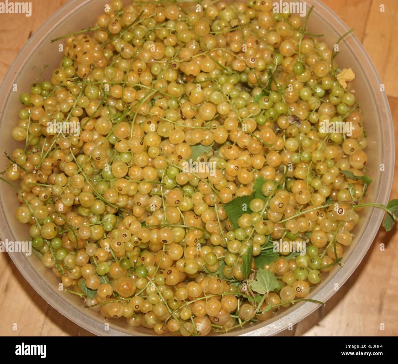 A Bowlful of White-currants Stock Photo