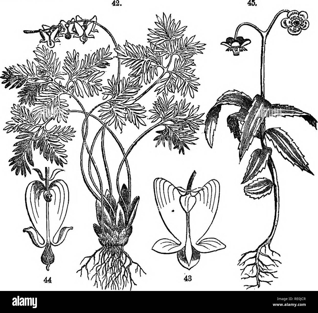 34 degrees Cut Out Stock Images & Pictures Alamy